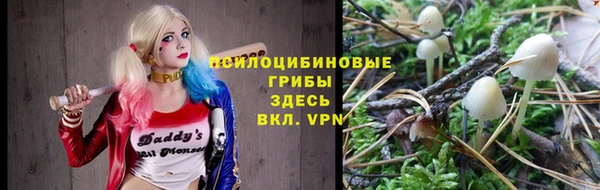 МДПВ Беломорск