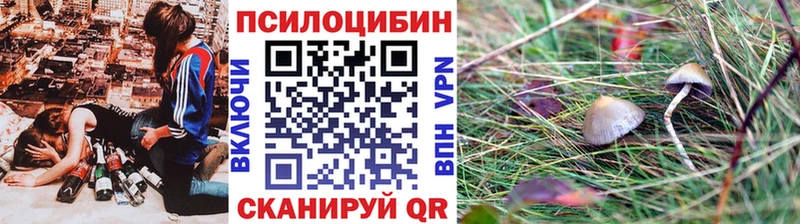 Псилоцибиновые грибы MAGIC MUSHROOMS  Купить закладки  Сковородино 